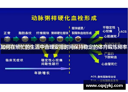 如何在繁忙的生活中合理安排时间保持稳定的体育锻炼频率